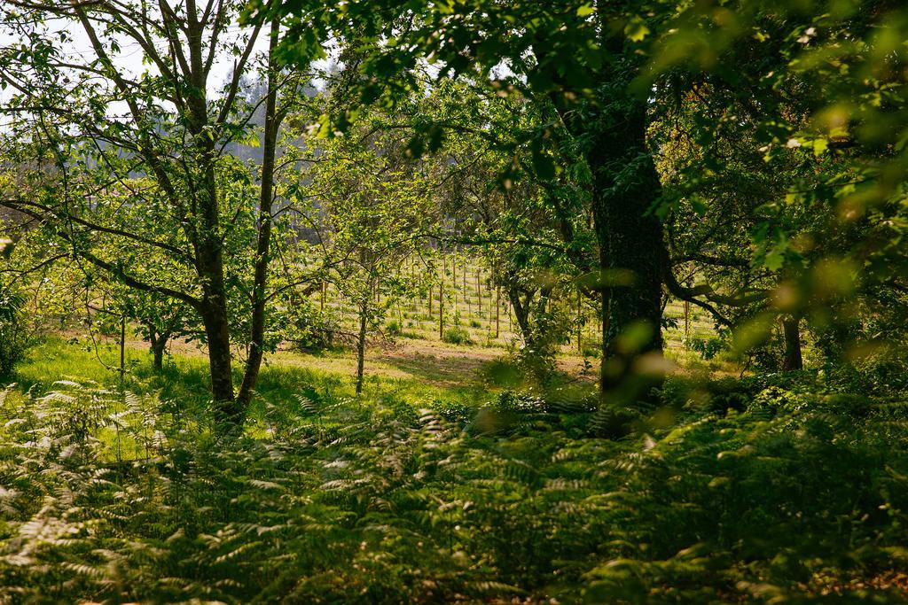 Quinta Da Bouca D'Arques 호텔 빌라드펀 외부 사진